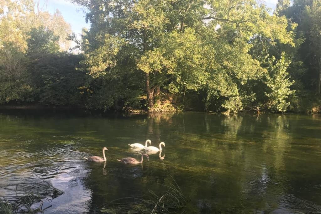 Montigny-sur-Loing La Pierre Levee 아파트 외부 사진