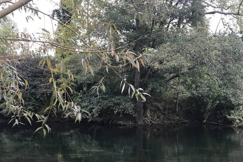 Montigny-sur-Loing La Pierre Levee 아파트 외부 사진